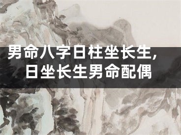 男命八字日柱坐长生,日坐长生男命配偶