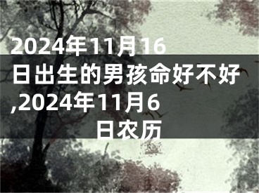 2024年11月16日出生的男孩命好不好,2024年11月6日农历