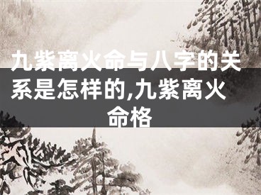 九紫离火命与八字的关系是怎样的,九紫离火命格