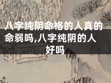 八字纯阴命格的人真的命弱吗,八字纯阴的人好吗