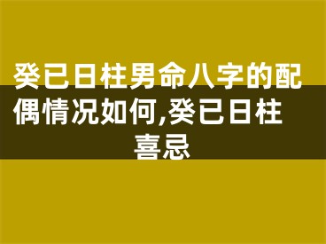癸已日柱男命八字的配偶情况如何,癸已日柱喜忌