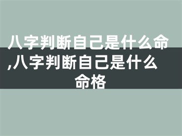八字判断自己是什么命,八字判断自己是什么命格
