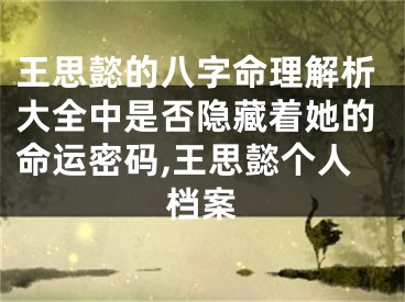 王思懿的八字命理解析大全中是否隐藏着她的命运密码,王思懿个人档案