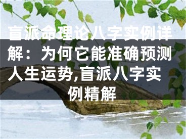 盲派命理论八字实例详解：为何它能准确预测人生运势,盲派八字实例精解