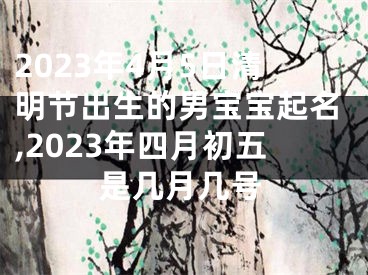 2023年4月5日清明节出生的男宝宝起名,2023年四月初五是几月几号