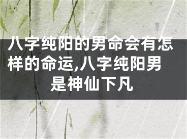 八字纯阳的男命会有怎样的命运,八字纯阳男是神仙下凡