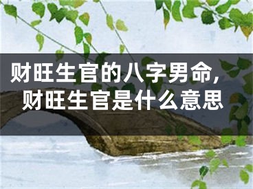 财旺生官的八字男命,财旺生官是什么意思