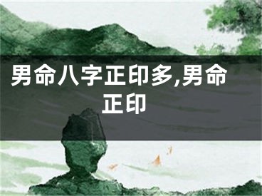 男命八字正印多,男命 正印