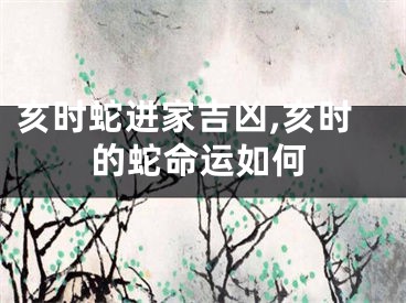 亥时蛇进家吉凶,亥时的蛇命运如何