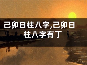 己卯日柱八字,己卯日柱八字有丁