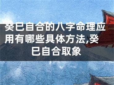 癸巳自合的八字命理应用有哪些具体方法,癸巳自合取象