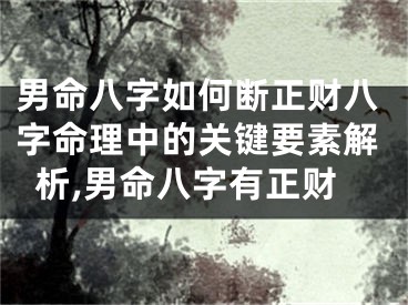 男命八字如何断正财八字命理中的关键要素解析,男命八字有正财