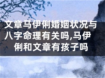 文章马伊俐婚姻状况与八字命理有关吗,马伊俐和文章有孩子吗