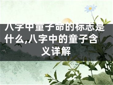 八字中童子命的标志是什么,八字中的童子含义详解