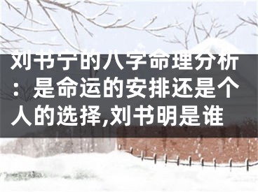 刘书宁的八字命理分析：是命运的安排还是个人的选择,刘书明是谁