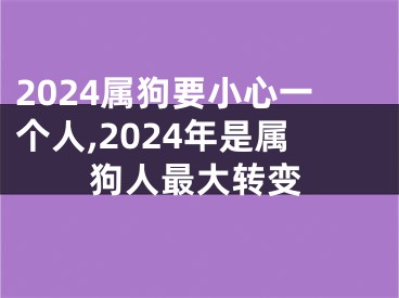 2024属狗要小心一个人,2024年是属狗人最大转变