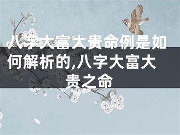 八字大富大贵命例是如何解析的,八字大富大贵之命