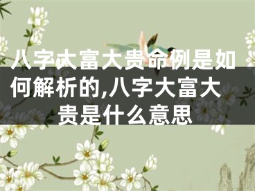 八字大富大贵命例是如何解析的,八字大富大贵是什么意思