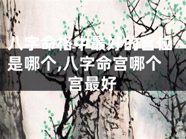 八字命格中最好的宫位是哪个,八字命宫哪个宫最好