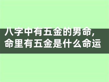 八字中有五金的男命,命里有五金是什么命运
