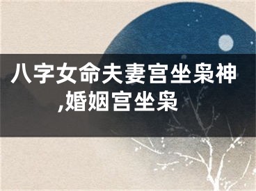八字女命夫妻宫坐枭神,婚姻宫坐枭