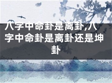 八字中命卦是离卦,八字中命卦是离卦还是坤卦