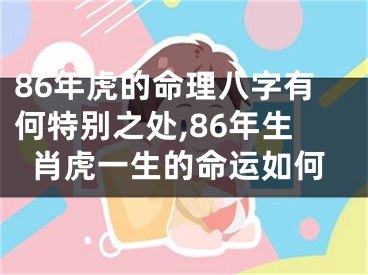 86年虎的命理八字有何特别之处,86年生肖虎一生的命运如何