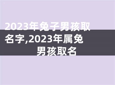 2023年兔子男孩取名字,2023年属兔男孩取名