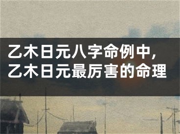 乙木日元八字命例中,乙木日元最厉害的命理