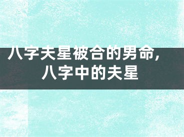 八字夫星被合的男命,八字中的夫星