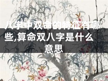 八字中双命的特征有哪些,算命双八字是什么意思