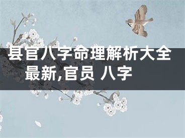 县官八字命理解析大全最新,官员 八字