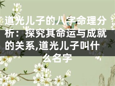 道光儿子的八字命理分析：探究其命运与成就的关系,道光儿子叫什么名字