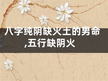八字纯阴缺火土的男命,五行缺阴火