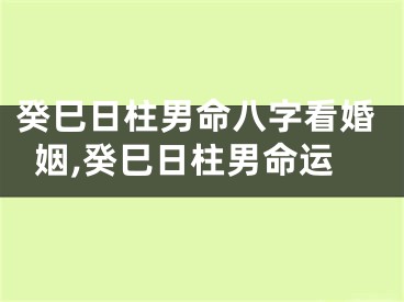 癸巳日柱男命八字看婚姻,癸巳日柱男命运