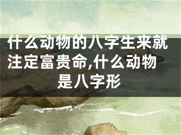 什么动物的八字生来就注定富贵命,什么动物是八字形