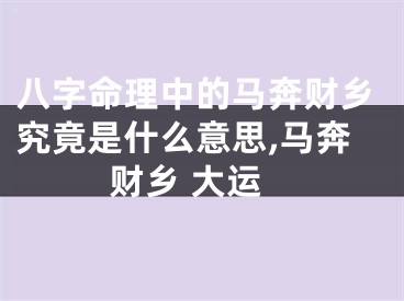 八字命理中的马奔财乡究竟是什么意思,马奔财乡 大运
