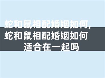 蛇和鼠相配婚姻如何,蛇和鼠相配婚姻如何 适合在一起吗