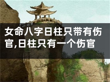 女命八字日柱只带有伤官,日柱只有一个伤官