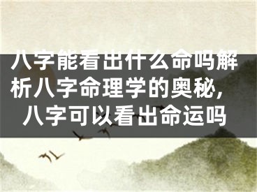 八字能看出什么命吗解析八字命理学的奥秘,八字可以看出命运吗