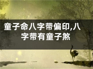 童子命八字带偏印,八字带有童子煞