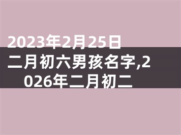 2023年2月25日二月初六男孩名字,2026年二月初二
