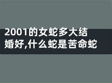 2001的女蛇多大结婚好,什么蛇是苦命蛇
