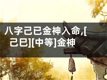 八字己已金神入命,[己巳][中等]金神