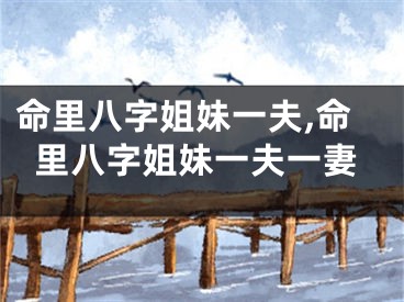 命里八字姐妹一夫,命里八字姐妹一夫一妻