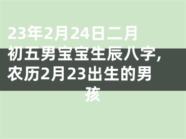 23年2月24日二月初五男宝宝生辰八字,农历2月23出生的男孩
