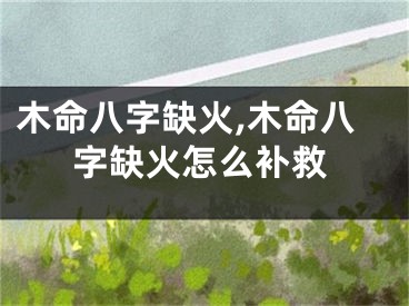 木命八字缺火,木命八字缺火怎么补救