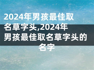 2024年男孩最佳取名草字头,2024年男孩最佳取名草字头的名字