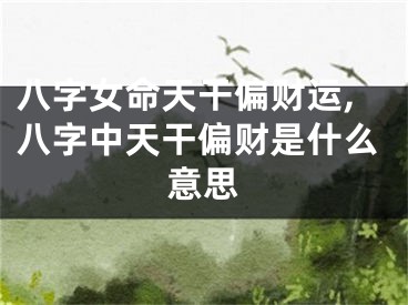 八字女命天干偏财运,八字中天干偏财是什么意思