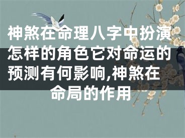 神煞在命理八字中扮演怎样的角色它对命运的预测有何影响,神煞在命局的作用